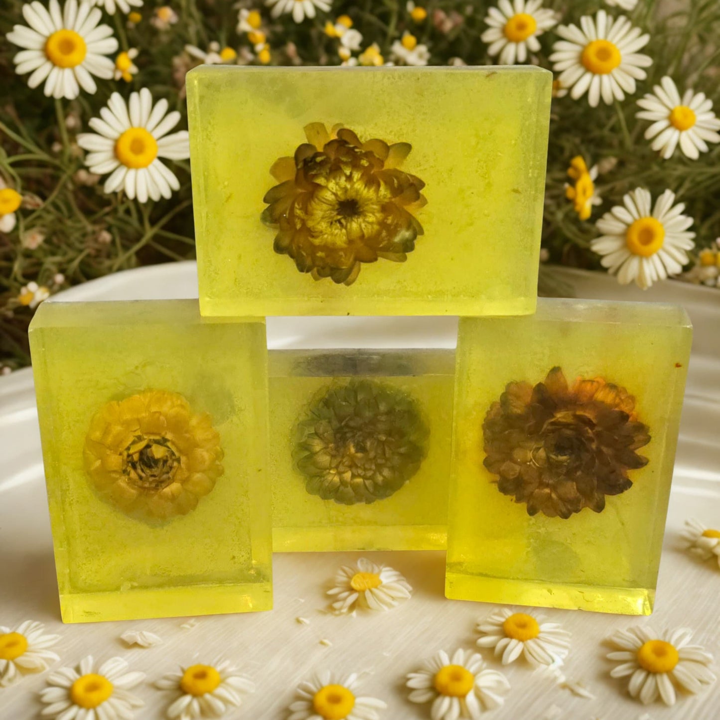 Chamomile