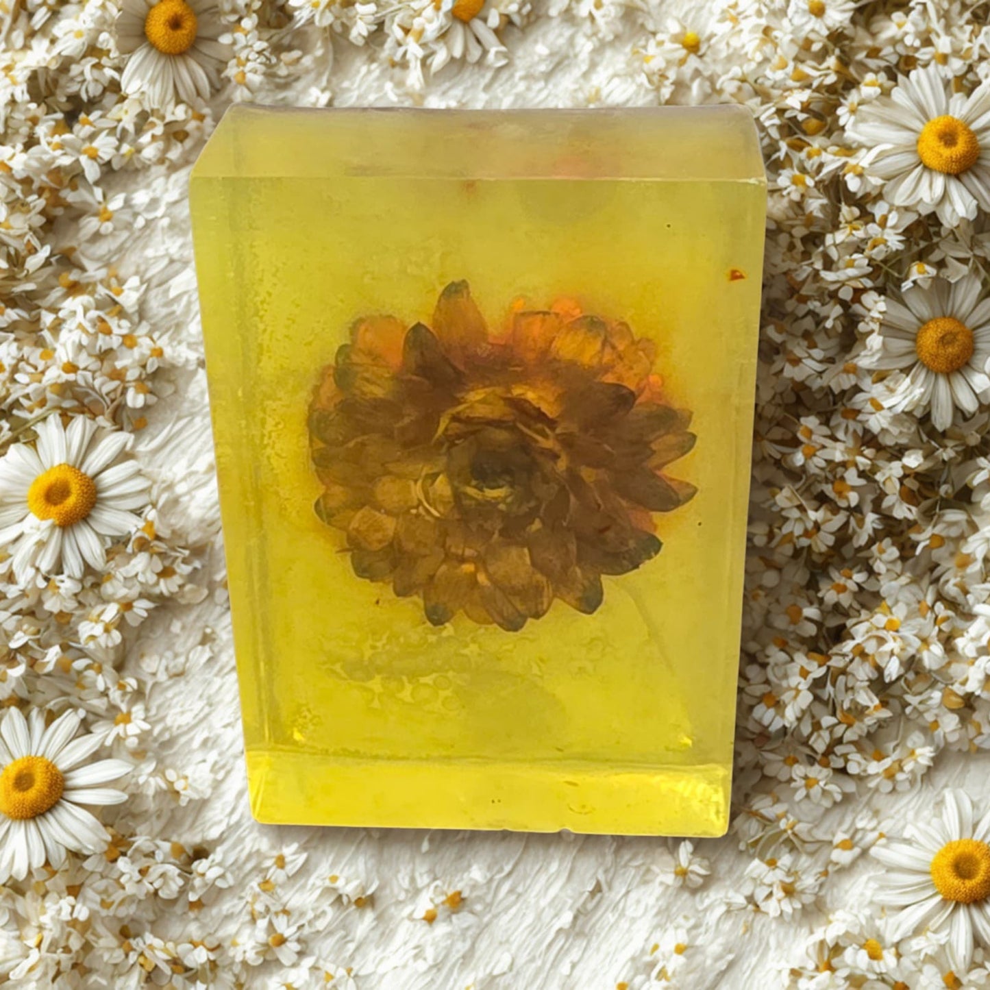 Chamomile